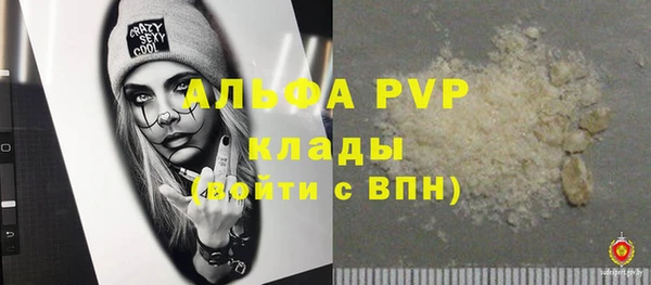 хмурый Алзамай