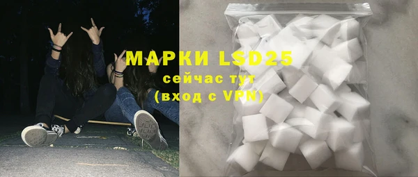хмурый Алзамай