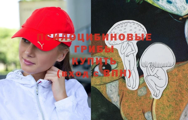 хмурый Алзамай