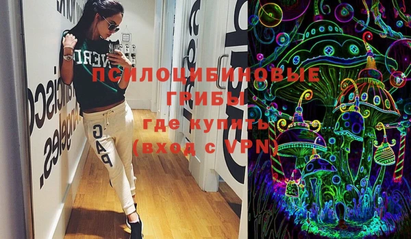 хмурый Алзамай