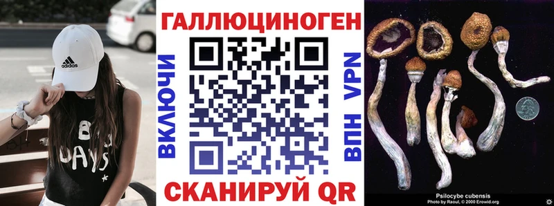 Псилоцибиновые грибы Psilocybine cubensis Куровское
